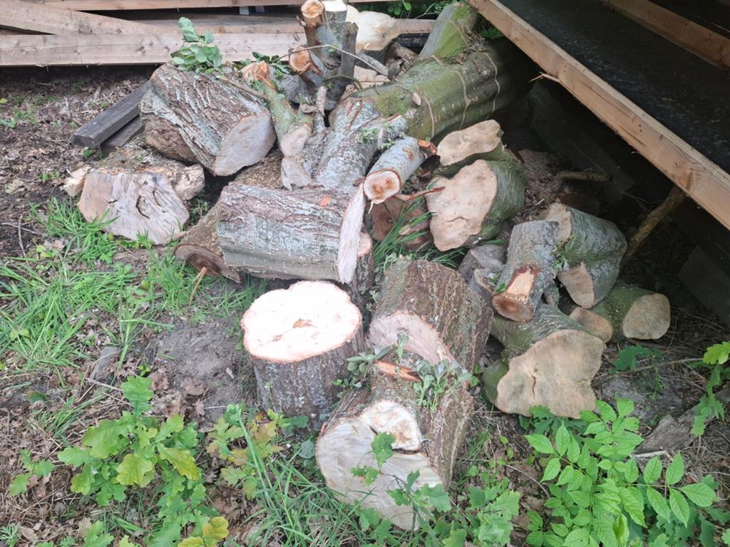 Haardhout, brandhout, ca 1,5 m3 vers wn divers, Tuin en Terras, Minder dan 3 m³, Ophalen