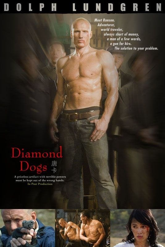 DVD - Diamond dogs (2007), Vanaf 16 jaar, Ophalen of Verzenden, Zo goed als nieuw, Actiethriller