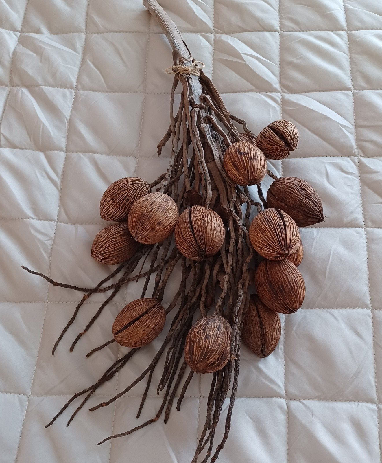 Decoratie van kleine kokosnoten, Huis en Inrichting, Woonaccessoires | Overige, Ophalen