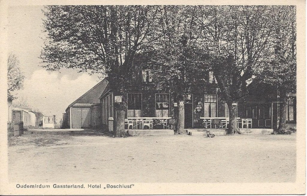 Oudemirdum (Frl.) Gaasterland, Hotel Boschlust, ca. 1920, Verzamelen, Ansichtkaarten | Nederland, Ophalen of Verzenden, Voor 1920