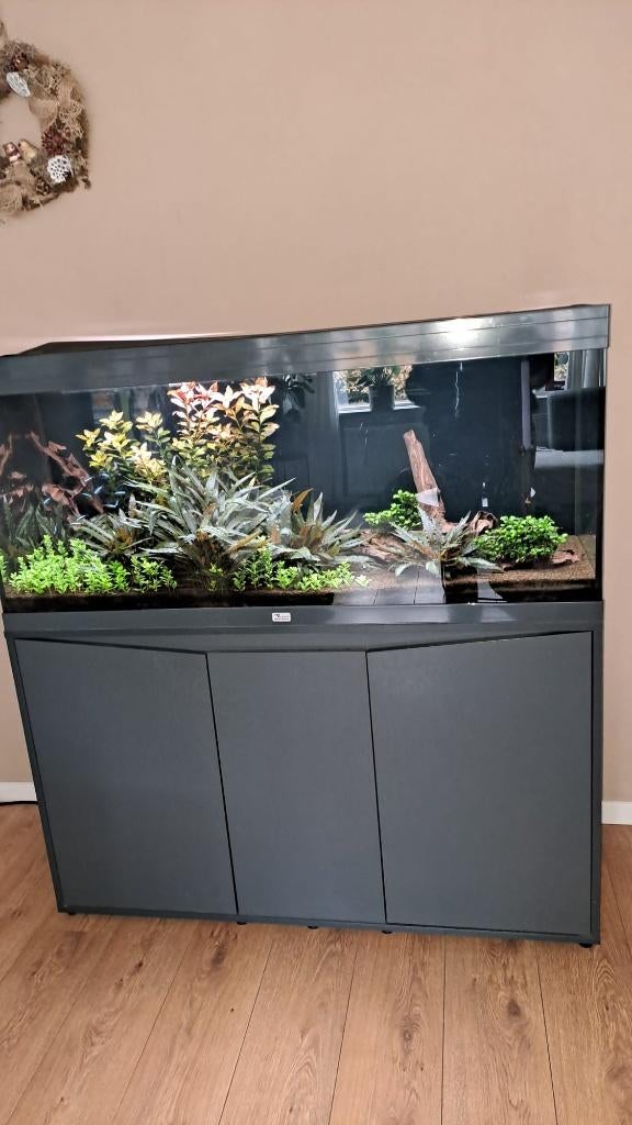 Aquatlantis Volga 240, Dieren en Toebehoren, Ophalen, Gebruikt, Aquatlantis, Leeg aquarium