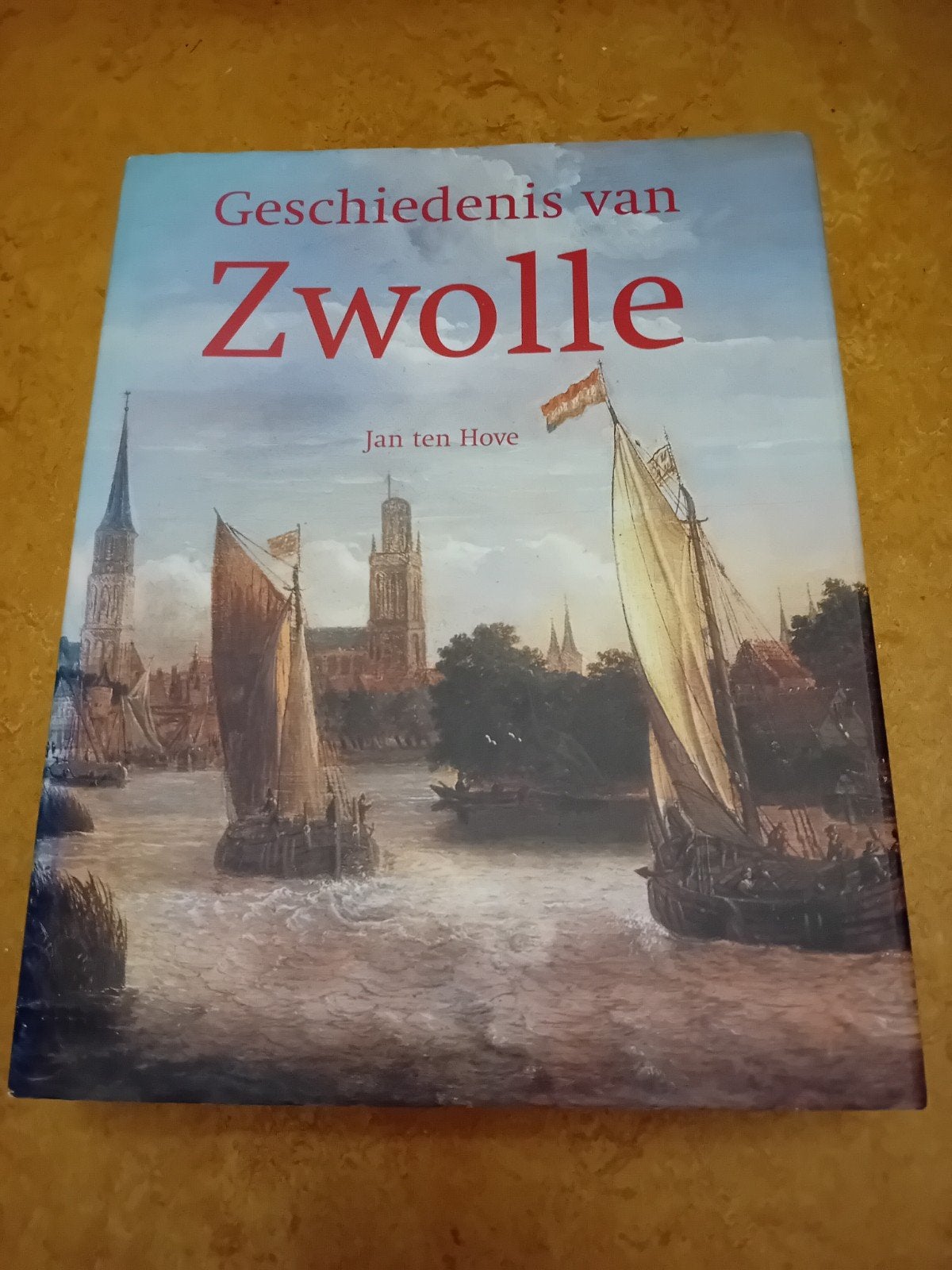 Jan ten Hove - Geschiedenis van Zwolle, Ophalen of Verzenden, Gelezen, J. ten Hove