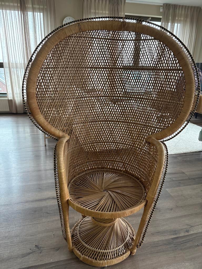 Rotan pauwenstoel - Boho stijl, Huis en Inrichting, Stoelen, Ophalen, Gebruikt, Bruin, Riet of Rotan