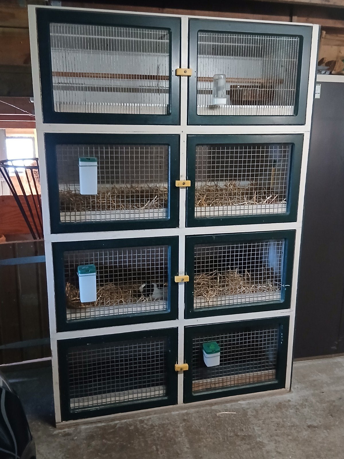 Te koop een 4 delig  konijnen/cavia hok, Ophalen, 110 cm of meer, 90 cm of meer, Konijn