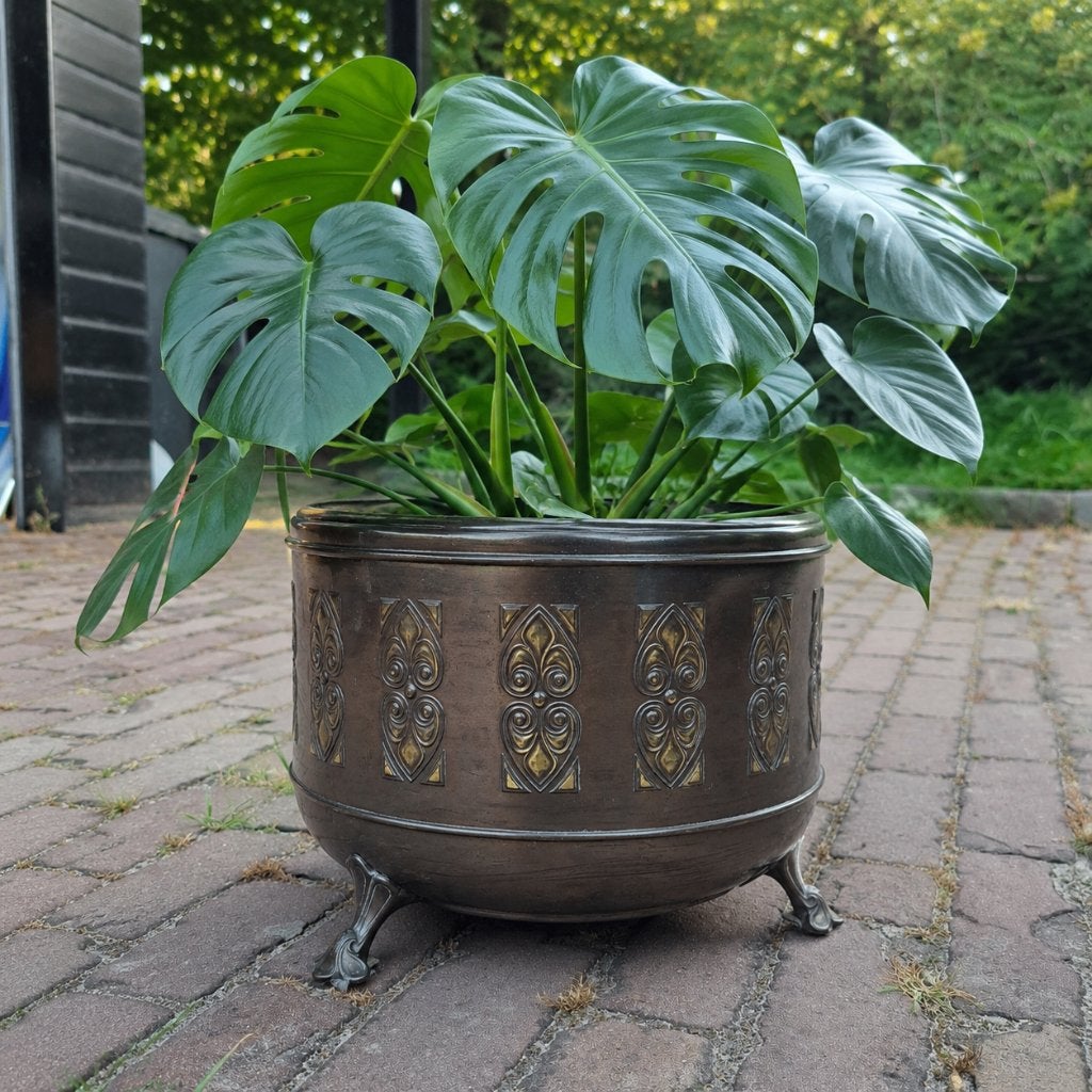 Plantenpot Daalderop Jugendstil, Ophalen, Koper