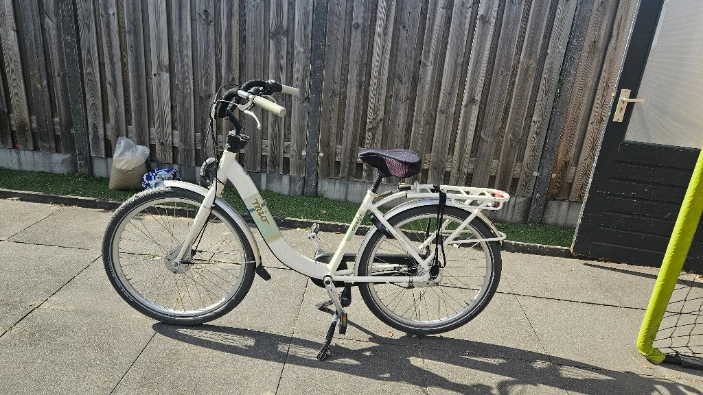 Mamfiets, Fietsen en Brommers, Fietsen | Dames | Moederfietsen, Ophalen, 2 zitjes, Giant, Zo goed als nieuw