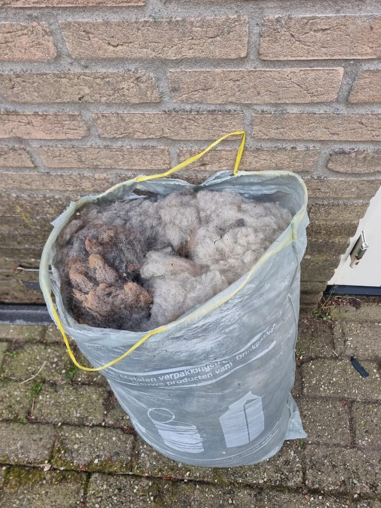 Gratis grijze schapenwol, Hobby en Vrije tijd, Spinnewielen en Spinnen, Ophalen of Verzenden, Spinwol