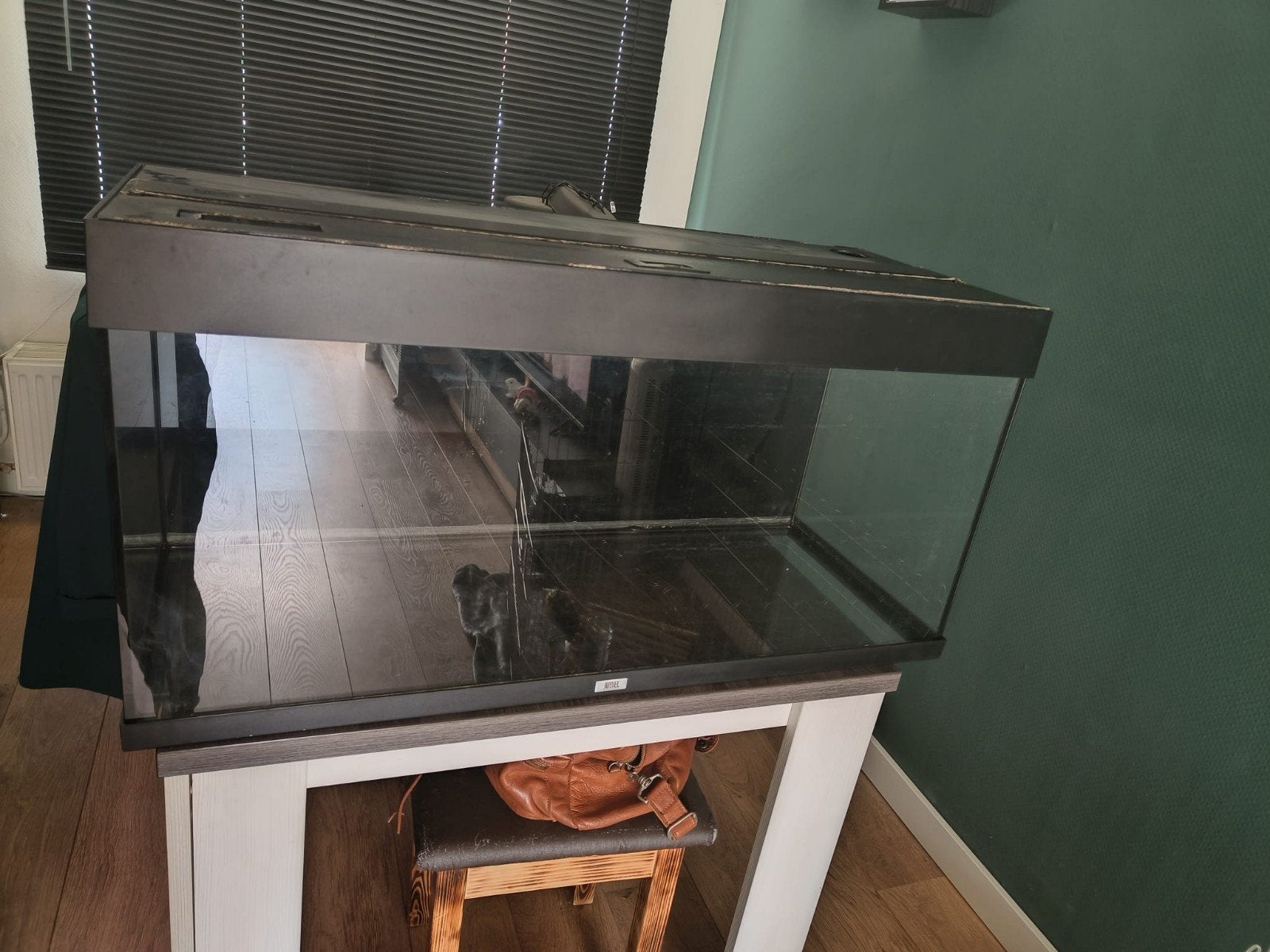 aquarium Juwel 160 liter
Aquarium is 1 meter lang 40 cm bree, Ophalen, Zo goed als nieuw, Juwel, Inclusief deksel