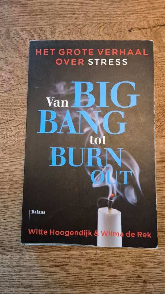 Van Big Bang tot Burn Out - Het grote verhaal over stress, Ophalen of Verzenden, Zo goed als nieuw, Witte Hoogendijk & Wilma de Rek