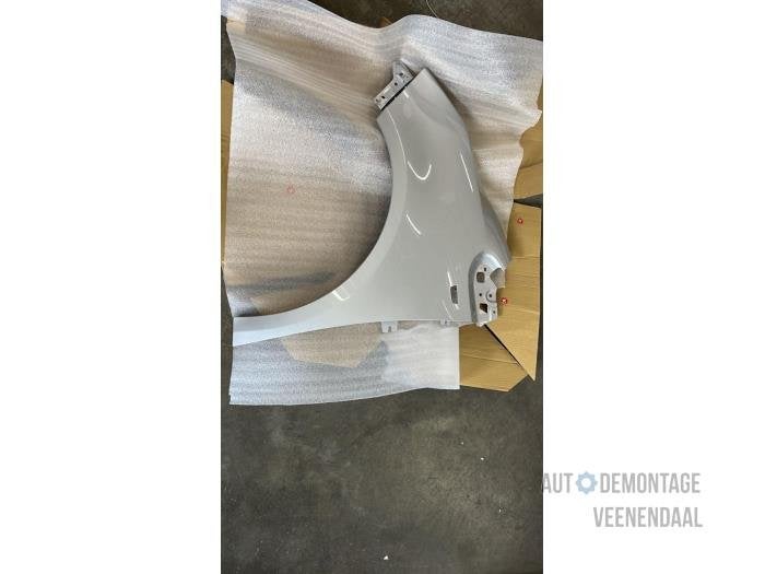 Scherm links-voor van een Opel Meriva (Z176), -, -, Opel, Nieuw