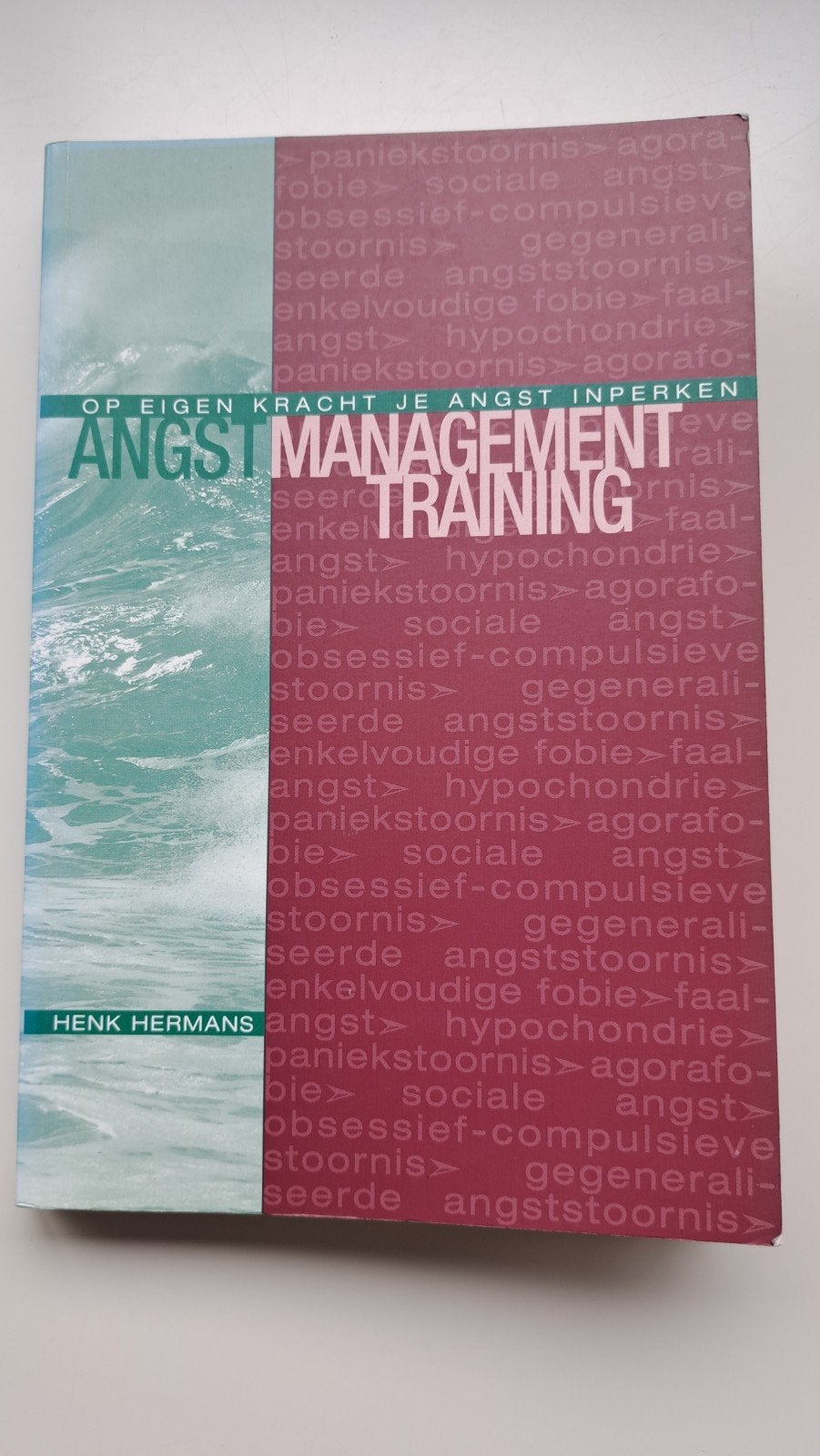Angstmanagement Training - Henk Hermans (als nieuw), Ophalen of Verzenden, Zo goed als nieuw, Henk Hermans