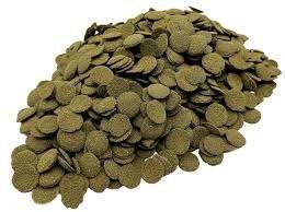 Algae Wafers, Dieren en Toebehoren, Vissen | Aquariumvissen, Overige typen, Zoetwatervis