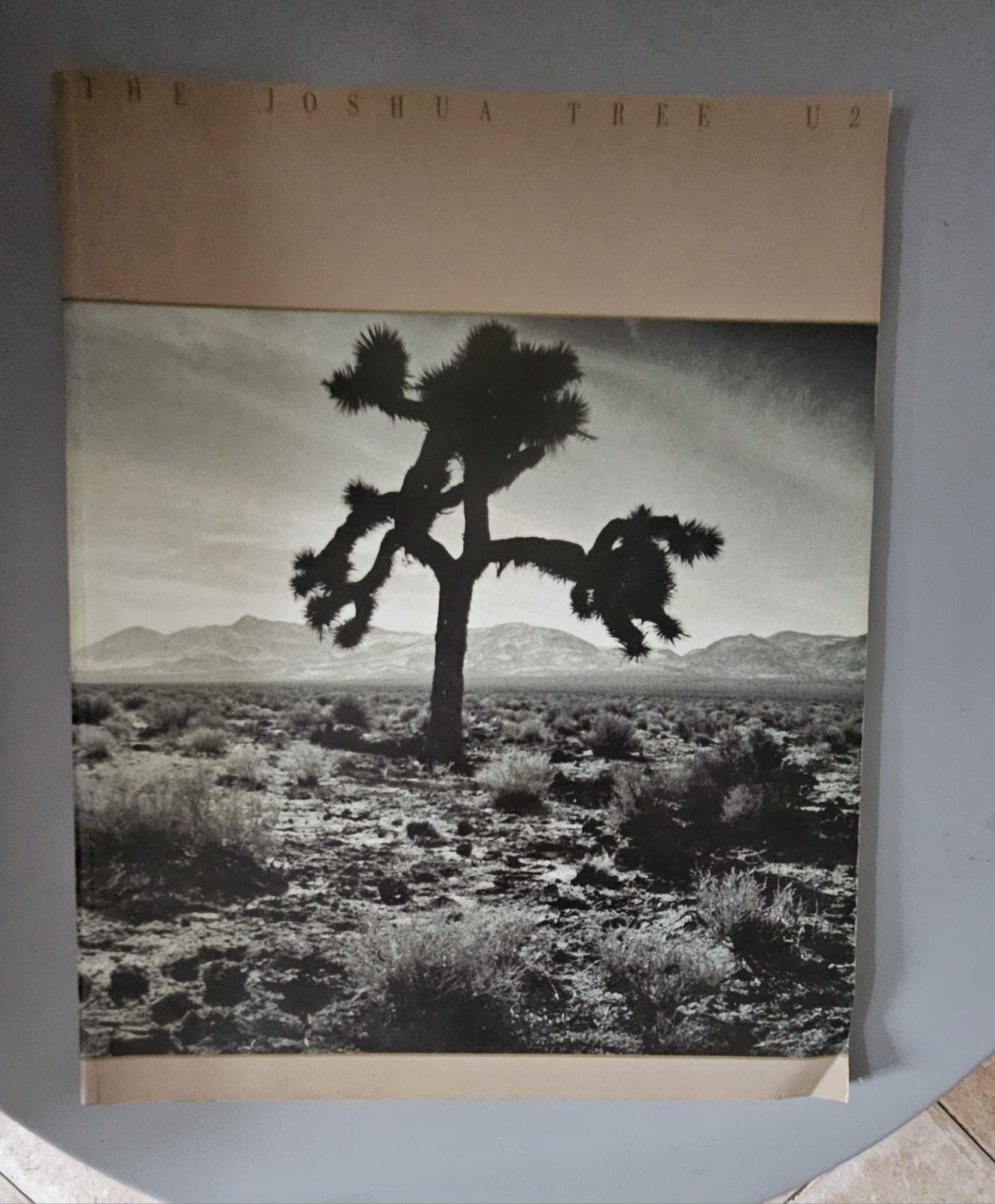 U2 The Joshua Tree Tourboek, Ophalen of Verzenden, Zo goed als nieuw, Artiest, U2