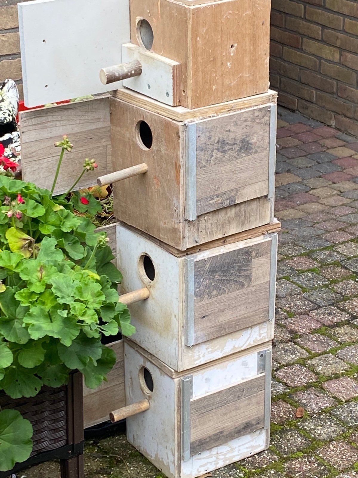 4 nestblokken, Dieren en Toebehoren, Ophalen, Gebruikt, Hout, Broedkooi of Kweekkooi