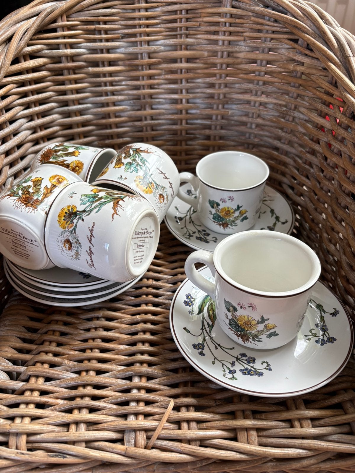 Villeroy en Boch Botanica kop en schotel 6 stuks, Ophalen, Zo goed als nieuw, Overige stijlen, Kop(pen) en/of Schotel(s)