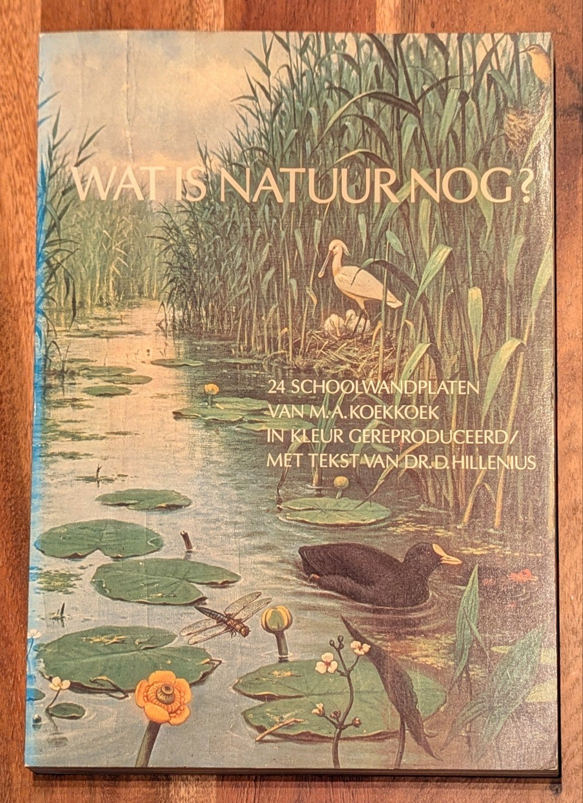 Wat is natuur nog? 24 schoolwandplaten M.A. Koekkoek, Ophalen of Verzenden, Zo goed als nieuw, Natuur algemeen, M.A. Koekkoek, Dr. D. Hillenius