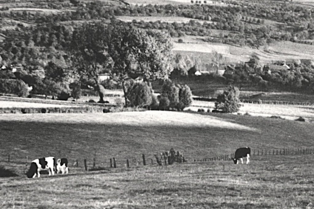 947164 Epen 1952 Gezicht vanaf Hotel Ons Krijtland Gelopen, Ophalen of Verzenden, 1940 tot 1960, Gelopen, Limburg