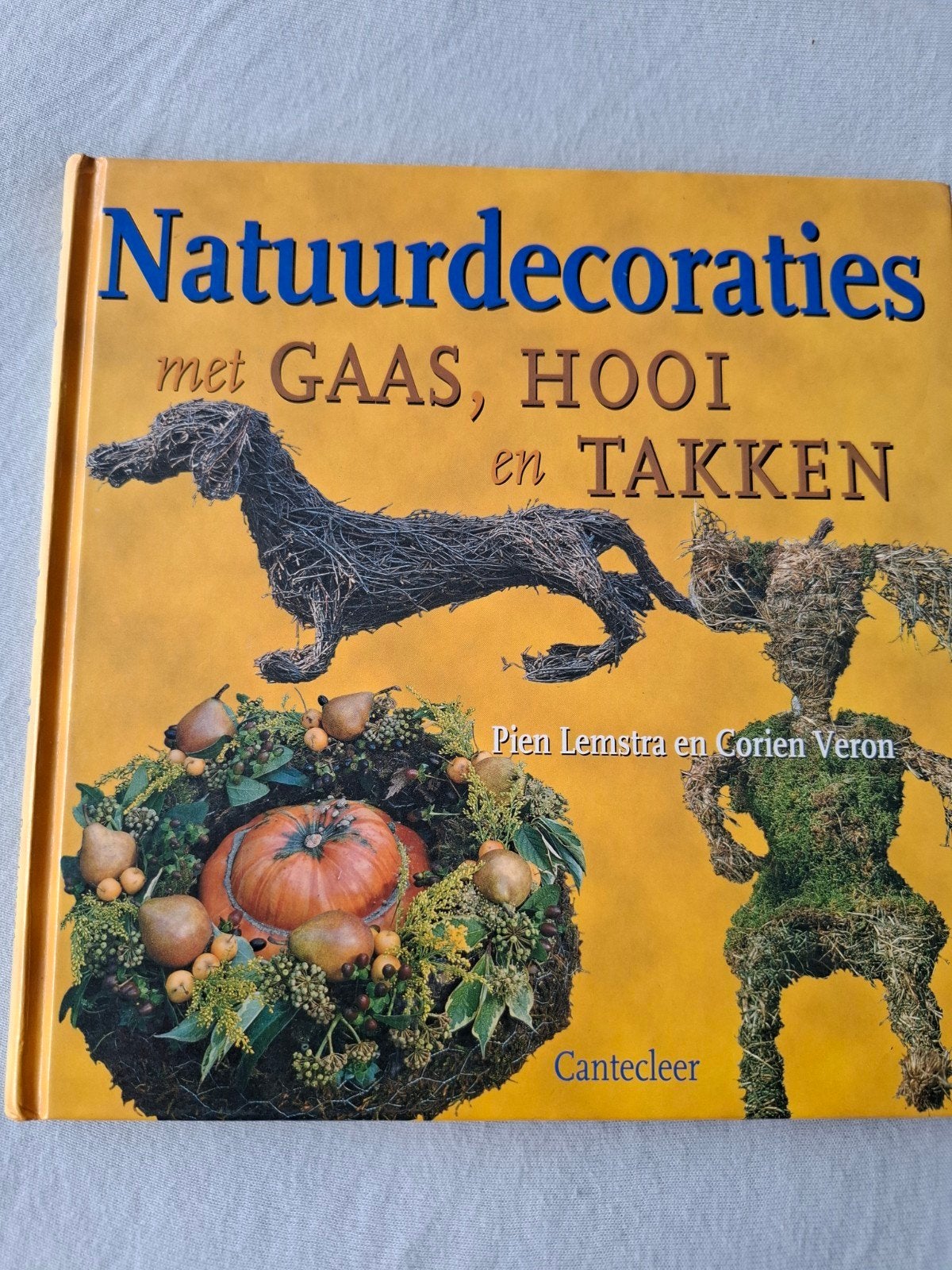 C. Veron - Natuurdecoraties met gaas, hooi en takken, Ophalen of Verzenden, Zo goed als nieuw, C. Veron; P. Lemstra