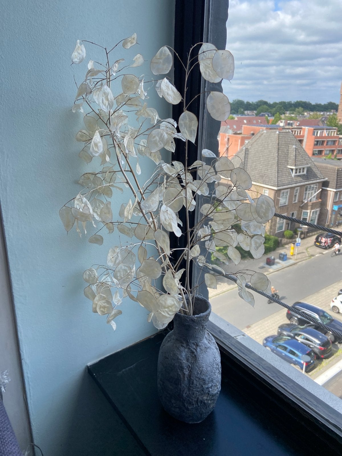 Decoratieve vaas met judaspenning, Huis en Inrichting, Ophalen, Overige materialen, Zo goed als nieuw, Geschikt voor droogbloemen