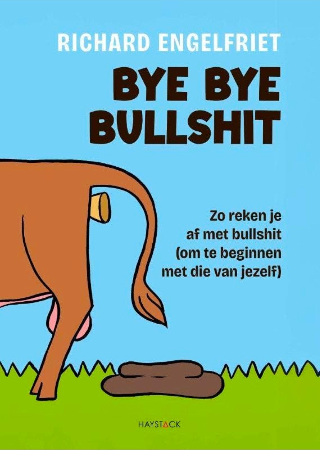 Boek: Bye Bye Bullshit, Ophalen of Verzenden, Nieuw, Richard Engelfriet