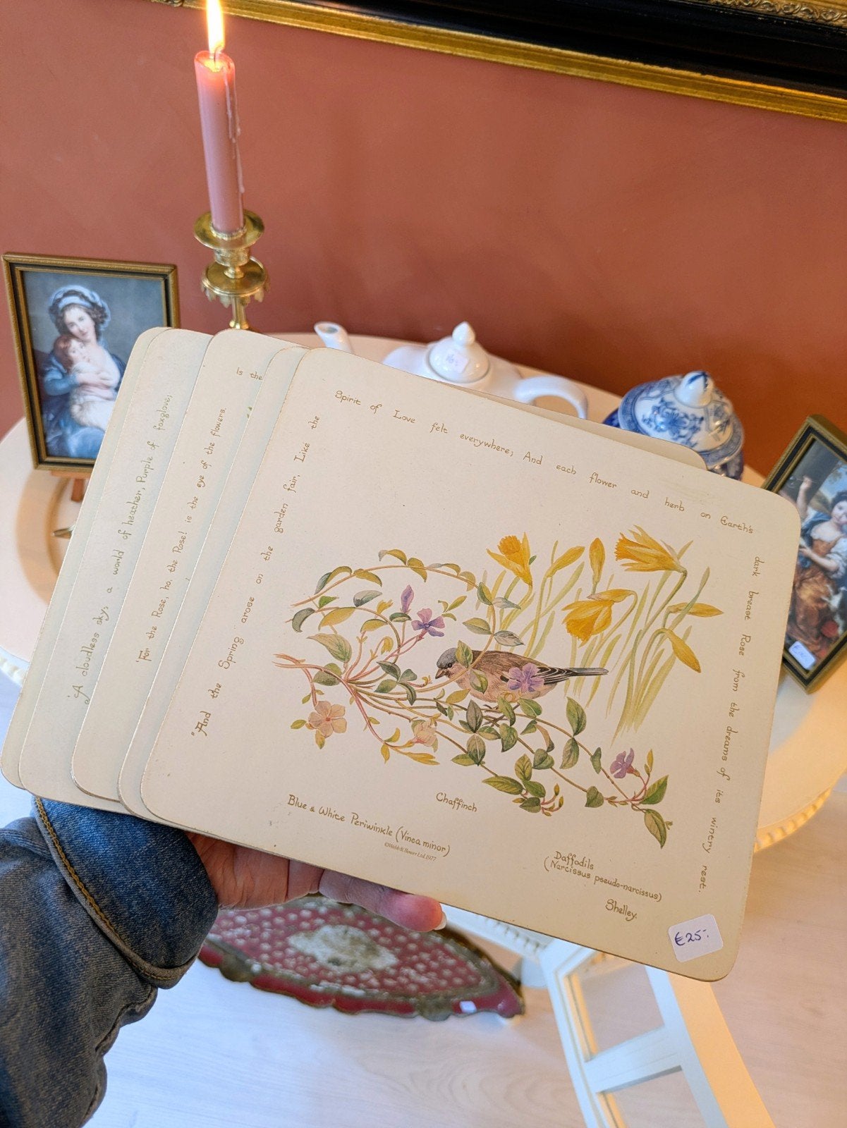 Botanische Placemats Onderzetters, Kurk, Placemat, Ophalen of Verzenden, Zo goed als nieuw
