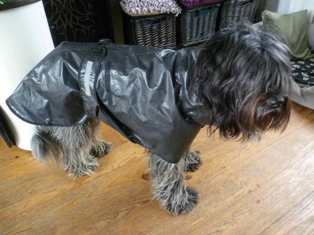 Honden regenjas, Ophalen of Verzenden, Zo goed als nieuw, Hondenjas