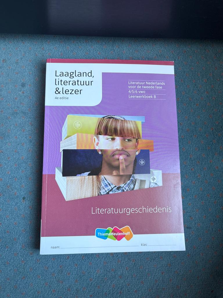 Laagland, literatuur & lezer - Literatuurgeschiedenis, Boeken, Ophalen of Verzenden, Zo goed als nieuw, Nederland