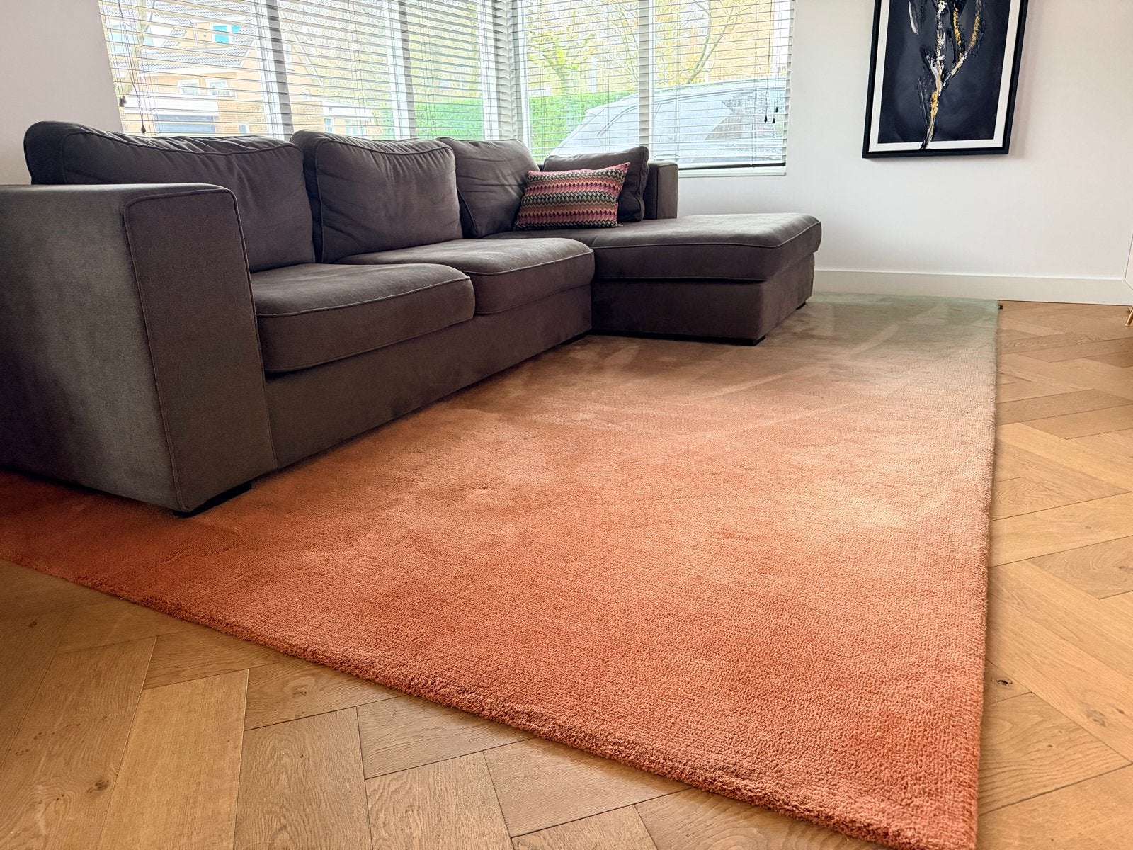CS Rugs Cameleon Design Vloerkleed - 270x370cm Wol, Huis en Inrichting, Stoffering | Tapijten en Kleden, Zo goed als nieuw, 200 cm of meer