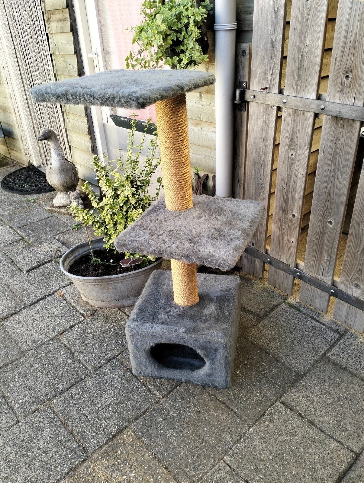 krappaal, Dieren en Toebehoren, Ophalen of Verzenden