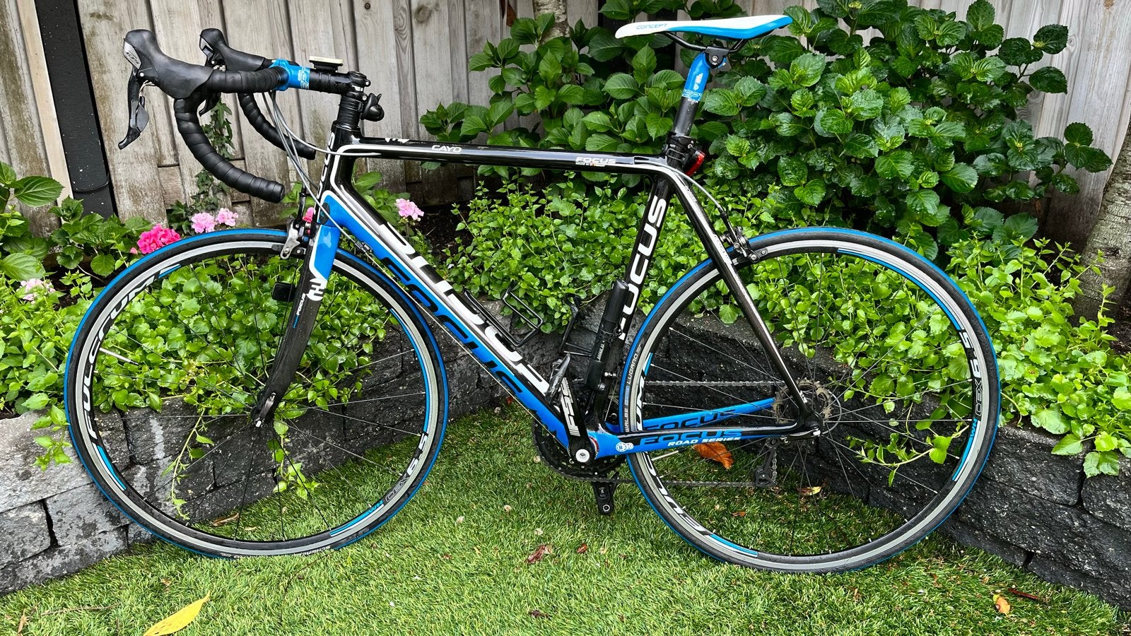 Focus Cayo racefiets - Shimano 105 - Carbon frame, 28 inch, Gebruikt, Carbon, Meer dan 20 versnellingen