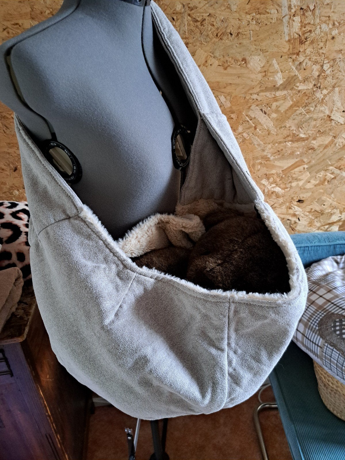 schoudertas puppy's, Dieren en Toebehoren, Ophalen of Verzenden, Nieuw