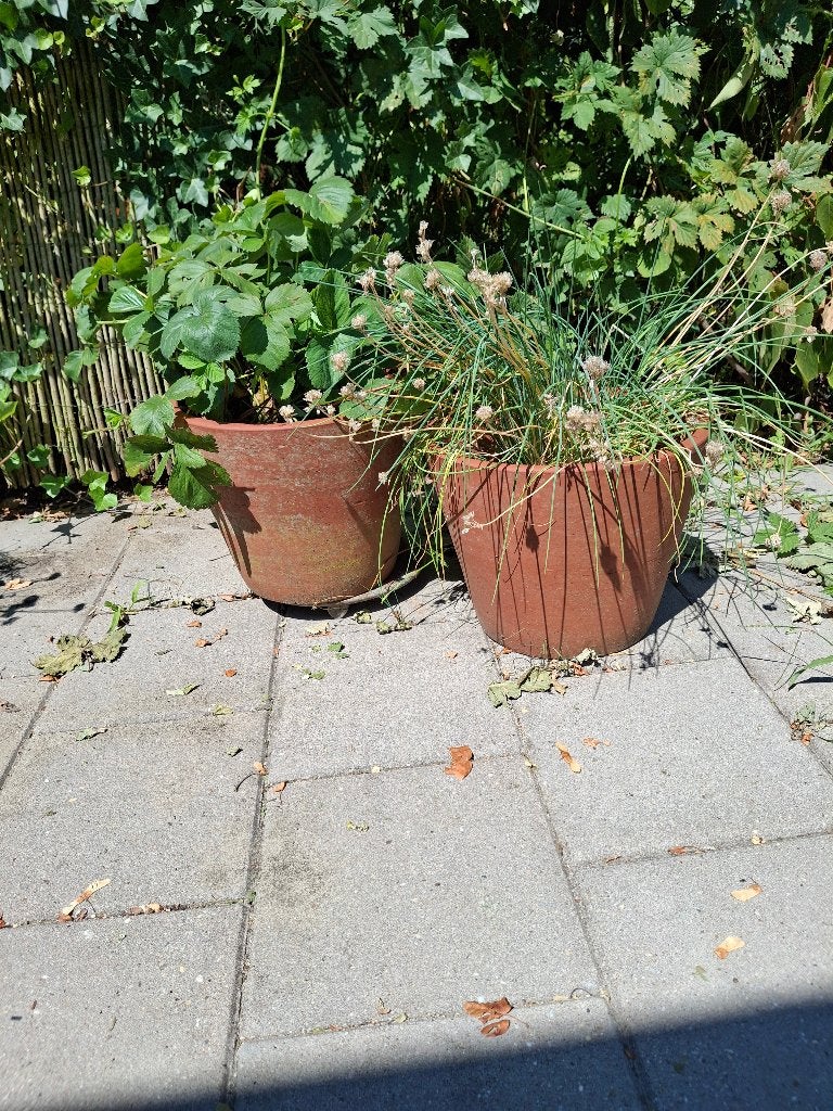 2 grote terra bloempotten, Tuin en Terras, Bloempotten, Gebruikt, Rond, Minder dan 40 cm, Tuin