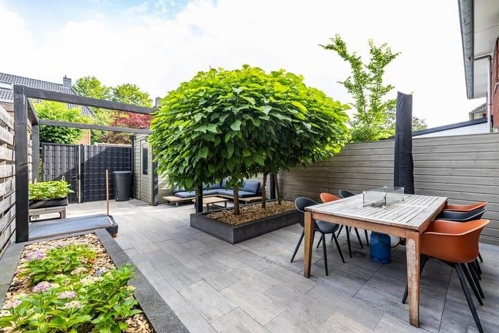Gratis 3 volle Catalpa/Bolcatalpa bomen - zelf uitgraven, Tuin en Terras, Ophalen, Volle zon, Bolboom