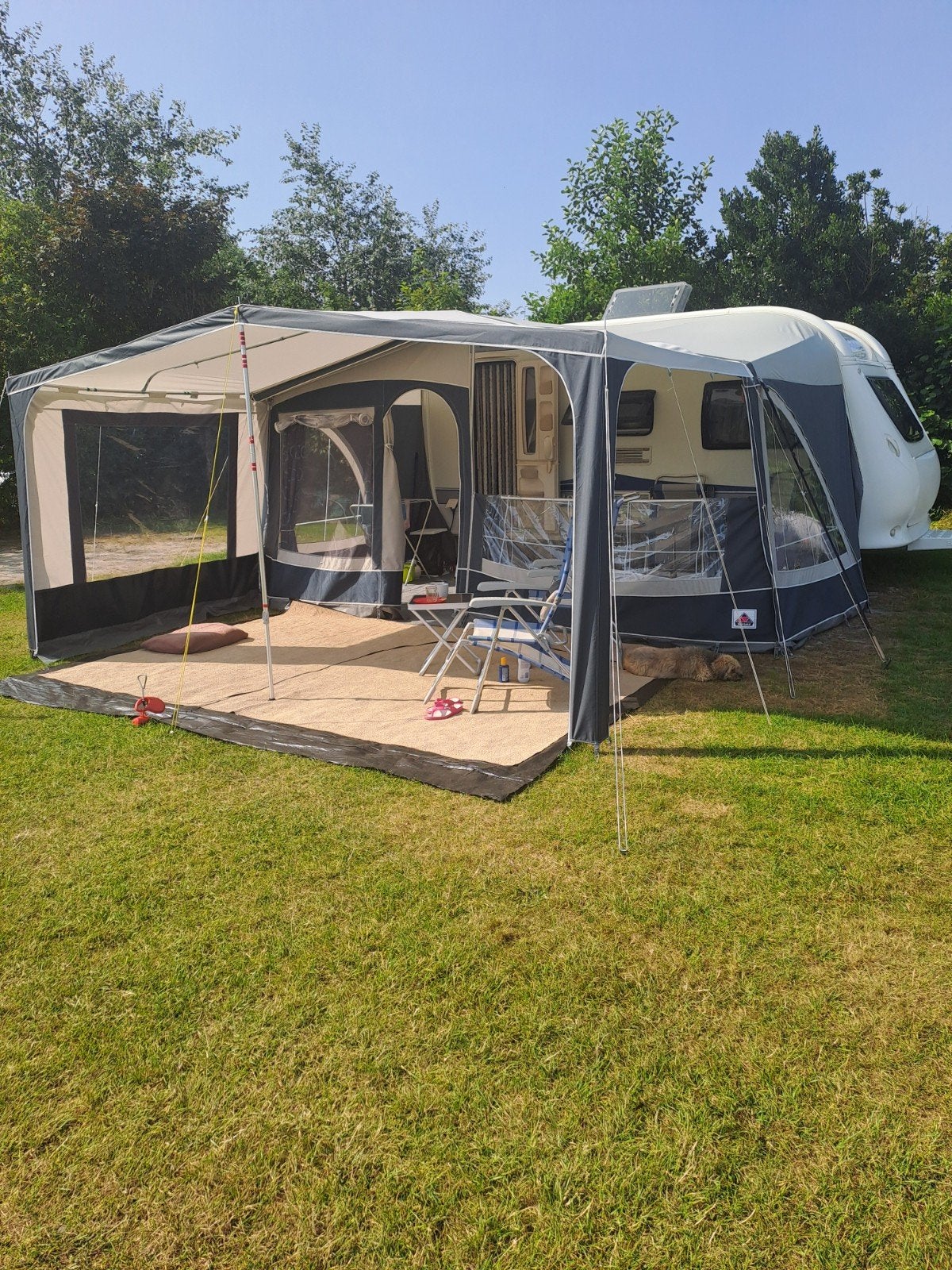 Zeer nette Dorema tentluifel maat 10 met metalen frame, Caravans en Kamperen, Ophalen, Zo goed als nieuw, Ten Cate All Season 240g/m2