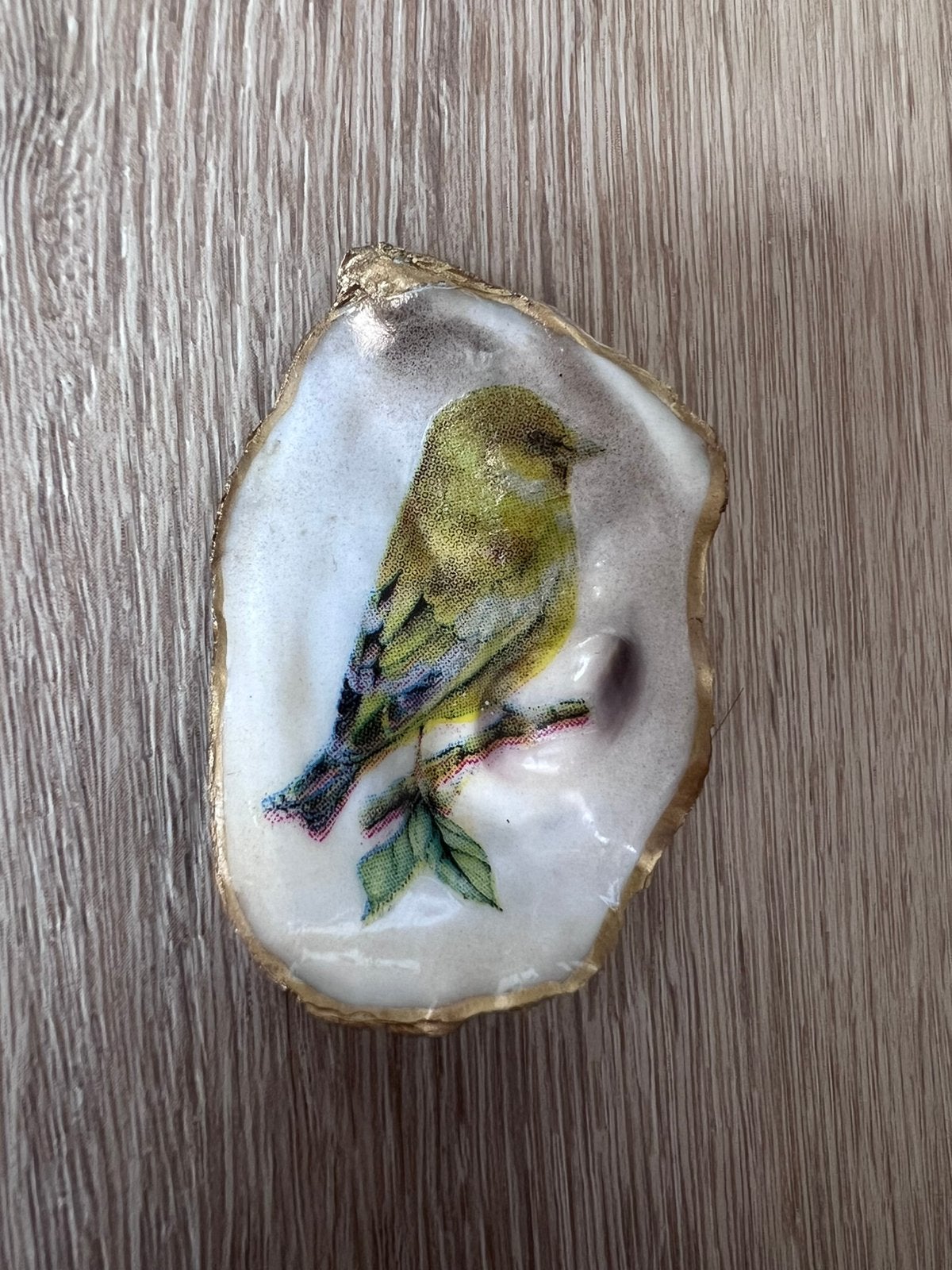 Oesterschelpje met goudvink, Verzamelen, Ophalen of Verzenden, Schelp(en)