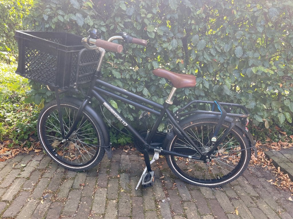 Pick up kinderfiets merk Loeki, 20 inch, 3 versnellingen, Ophalen, Terugtraprem, Loekie, Versnellingen
