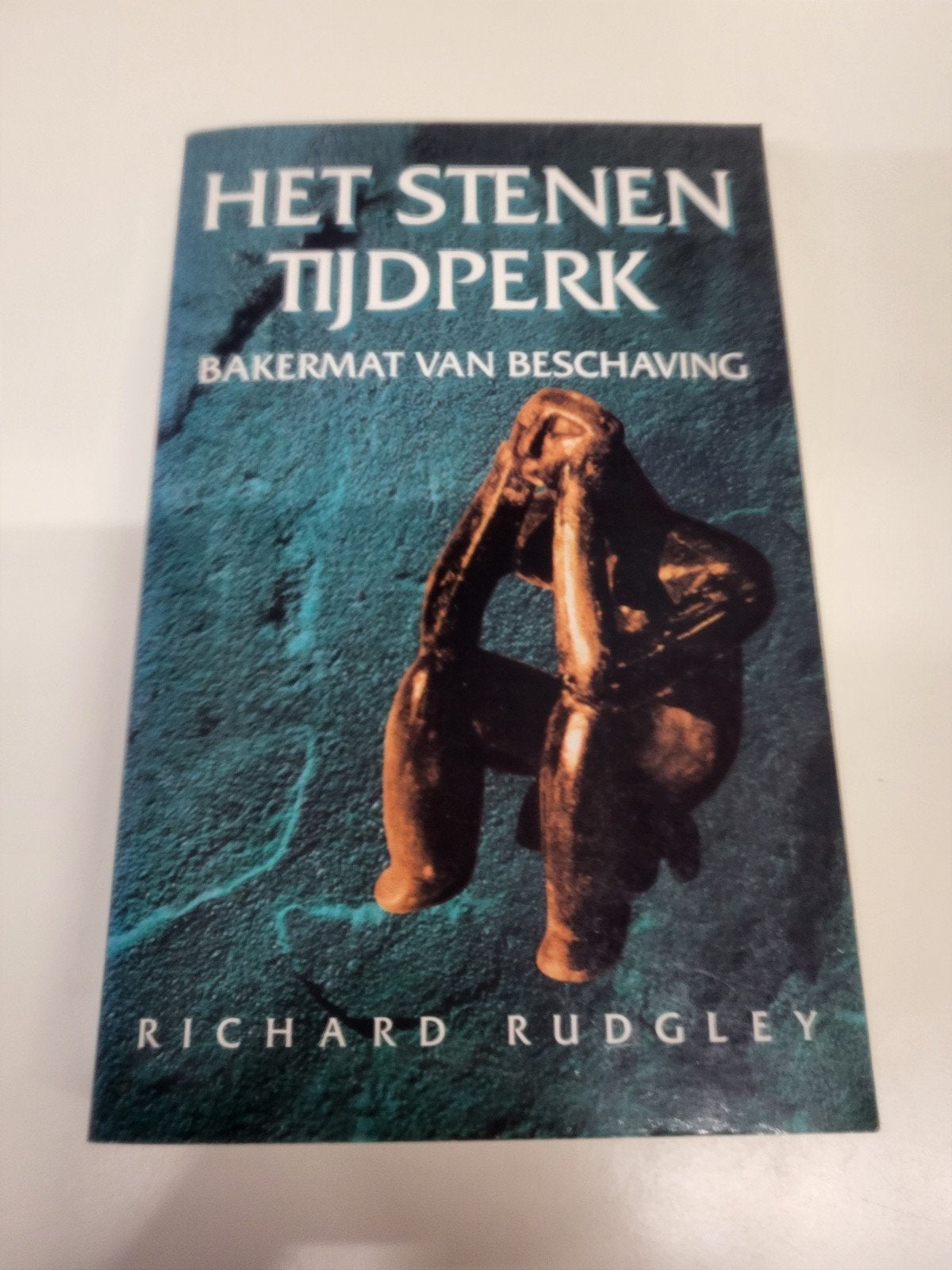 R. Rudgley - Het stenen tijdperk, Ophalen of Verzenden, Zo goed als nieuw, R. Rudgley