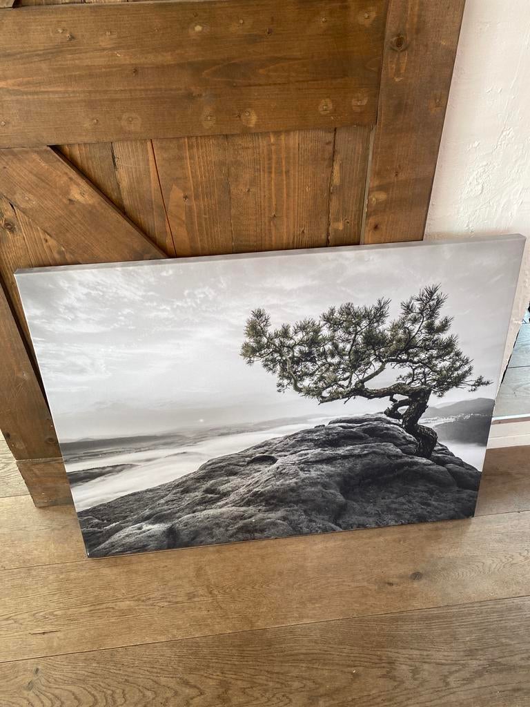 Canvas schilderij boom op rots 100x75x3, Ophalen