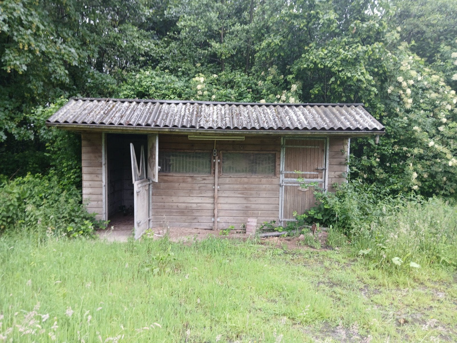 Houten schuur/stal met betonnen wanden, Ophalen of Verzenden, Gebruikt, Overige soorten