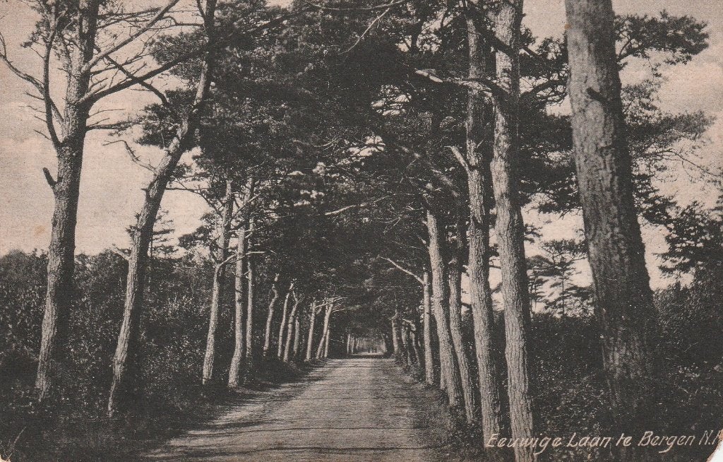Bergen, Verzamelen, Ansichtkaarten | Nederland, Ophalen of Verzenden, Voor 1920, Gelopen, Noord-Holland