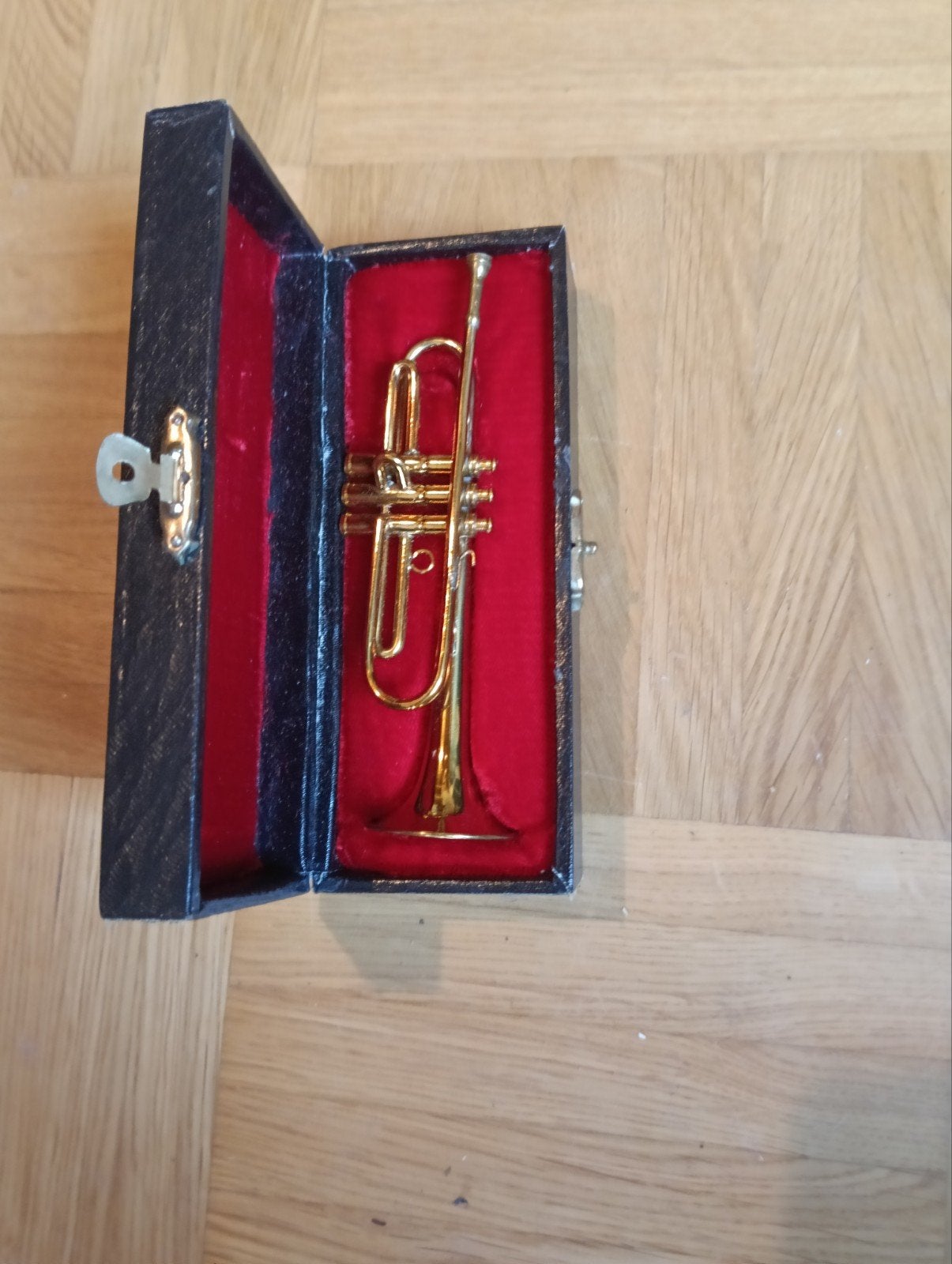 Miniatuur trompet met koffer - Decoratief item, Muziek en Instrumenten, Blaasinstrumenten | Trompetten, Ophalen of Verzenden, Zo goed als nieuw