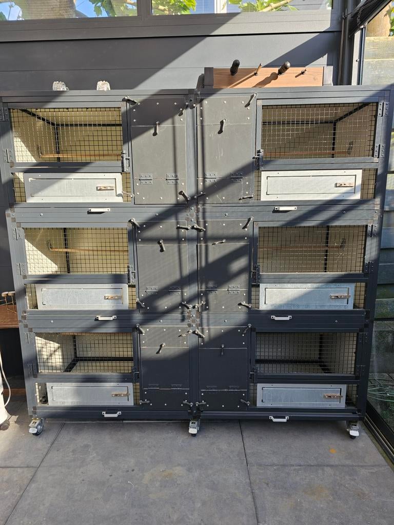 Te koop aangeboden Broedkooi, Meerdere dieren, Dwergpapegaai of Agapornis