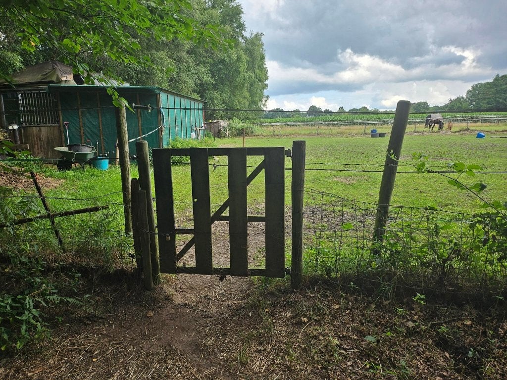 Weiland gezocht omgeving Epe., Dieren en Toebehoren, Stalling, 2 of 3 paarden of pony's