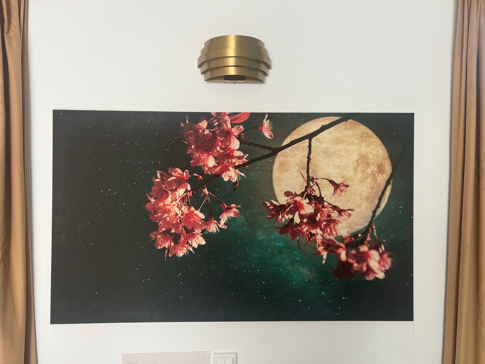 Japanse kers in maanlicht - Sfeervolle wanddecoratie, Ophalen, 50 – 75, 100 tot 125 cm, Print