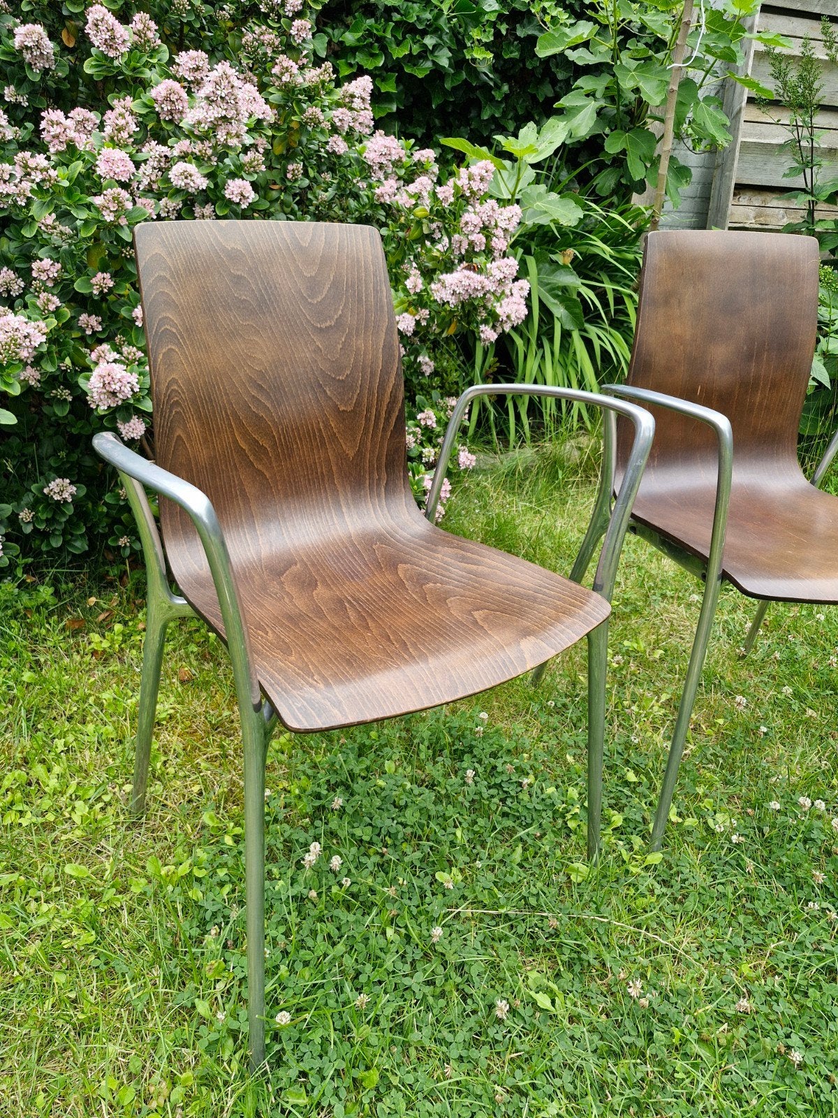 Twee design stoelen Akaba Gorka, Ophalen, Bruin, Twee