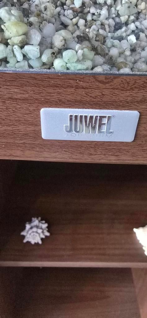 Aquaruim Juwel XL, Vis