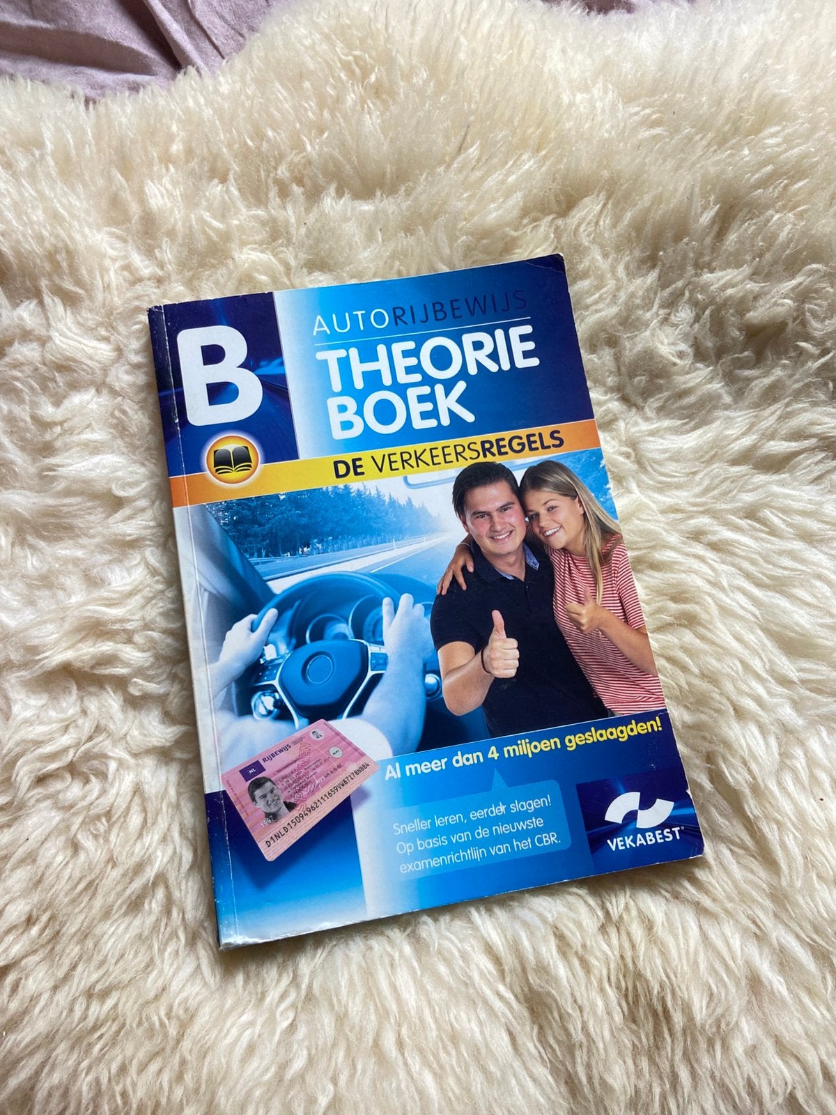Theorie boek, Ophalen of Verzenden, Gelezen, Overige niveaus, Nederlands