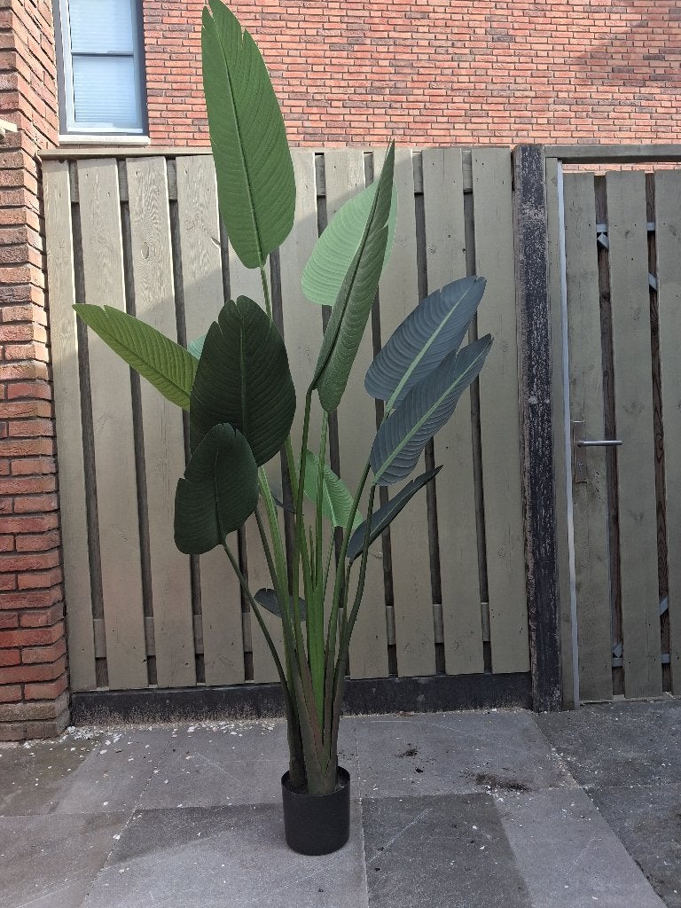 Kunstplant, Groen, Kunstplant, Zo goed als nieuw, Ophalen