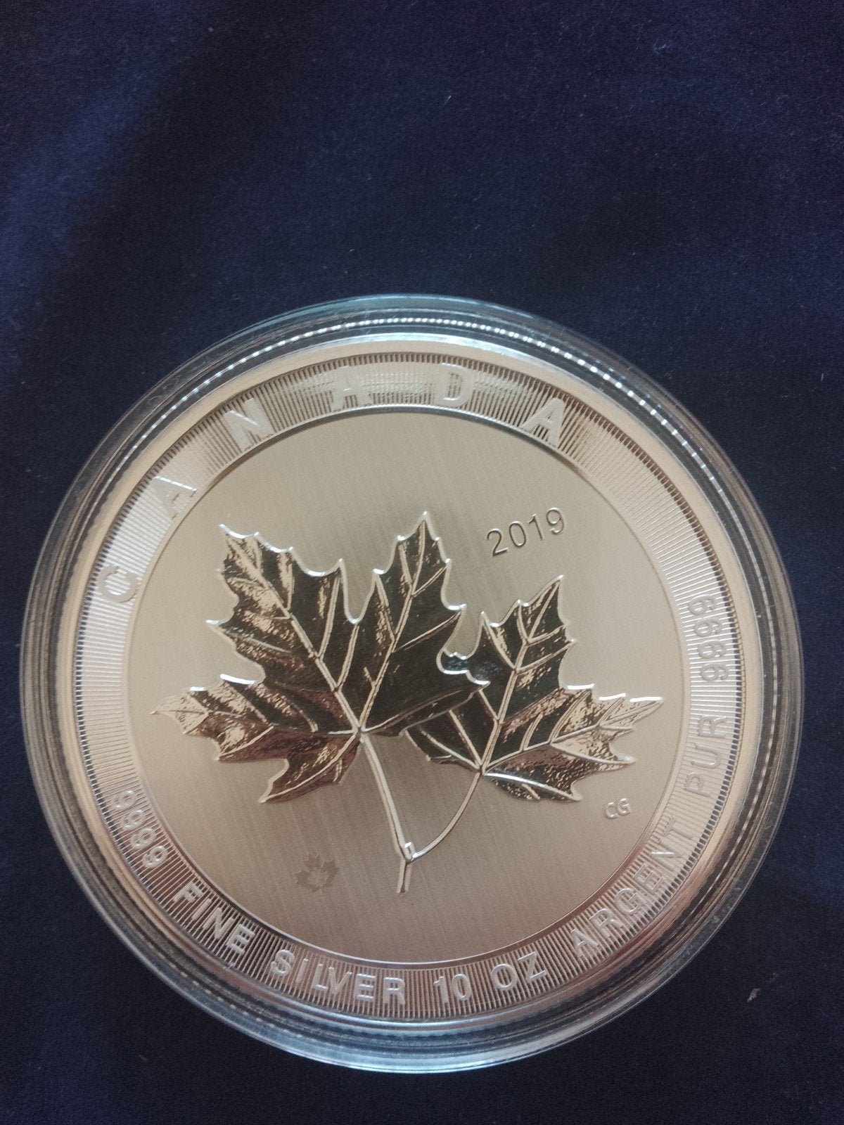 10 oz zilver Maple Leaf 2019 laatste, Ophalen of Verzenden, Zilver