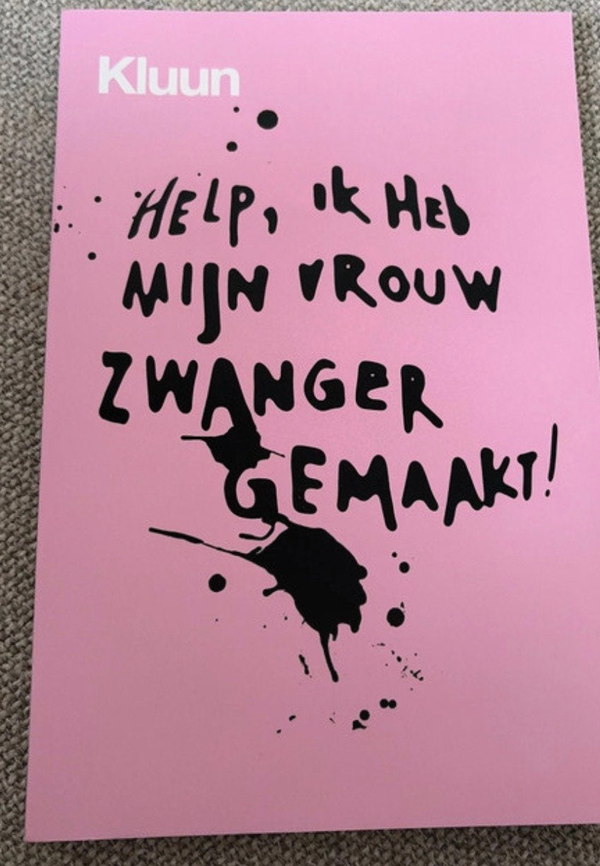 Boek zwanger, Ophalen of Verzenden, Zo goed als nieuw, Zwangerschap en Bevalling